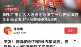 青岛企业爆料事件视频最新,揭露真相，探寻企业生存困境